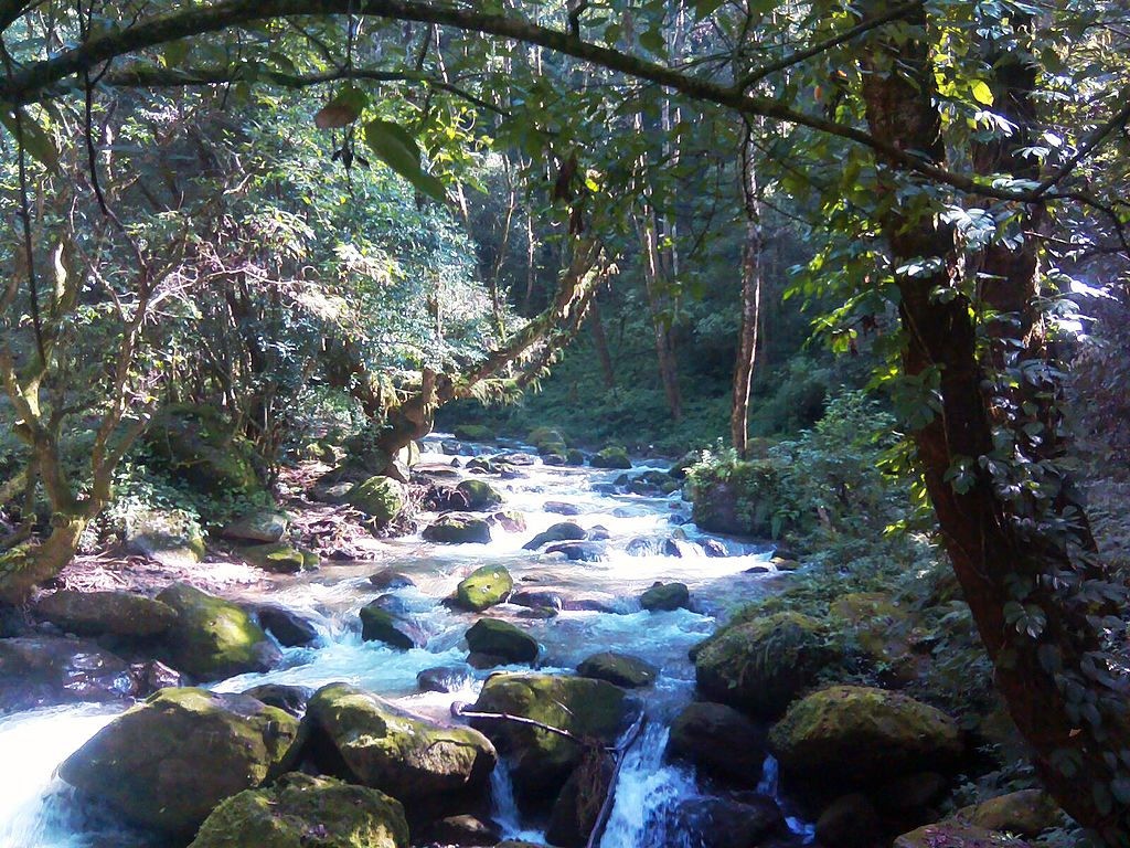 Shivapuri national park 